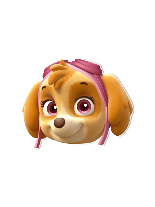 Paw Patrol-maskers (6st)
