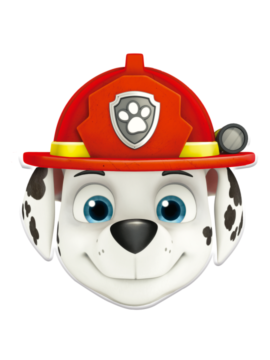 Paw Patrol-maskers (6st)