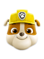 Paw Patrol-maskers (6st)